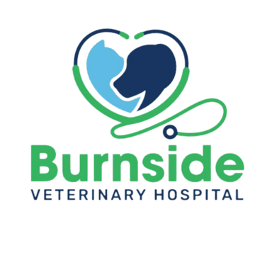 Burnside Veterinary Hospital
